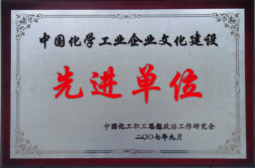 中国化学工业乐鱼在线建设先进单位